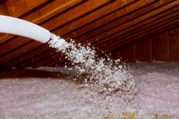Best Commercial Insulation in Lannon, WI