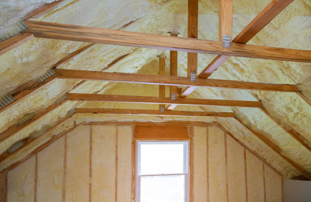 Best Geographic-Specific Insulation Services in Lannon, WI