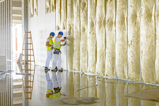 Best Residential Insulation in Lannon, WI